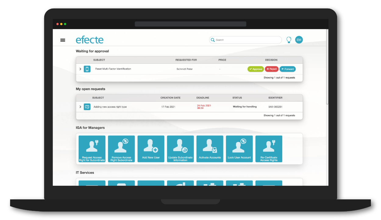 screenshot of Efecte IGA